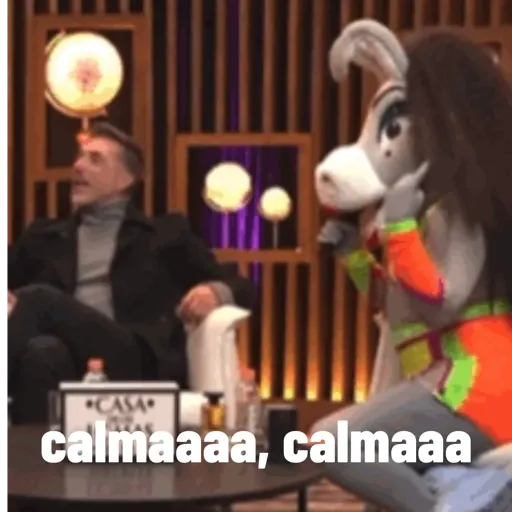 Lo mas IN DE LA BURRONA  4