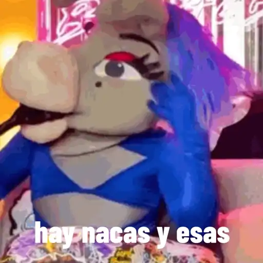 Lo mas IN DE LA BURRONA  15