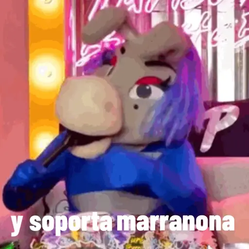 Lo mas IN DE LA BURRONA  19