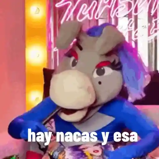 Lo mas IN DE LA BURRONA  14