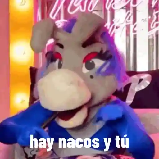 Lo mas IN DE LA BURRONA  16