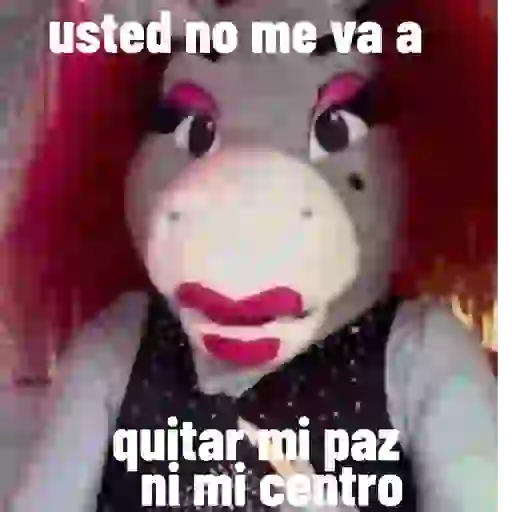 Lo mas IN DE LA BURRONA  9