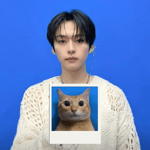 ㅤ ㅤ⻱⻱.ㅤ ❝     karma 6