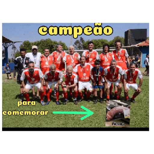 Aleatório 1 6