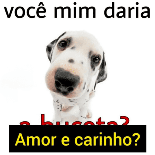 Confra 4