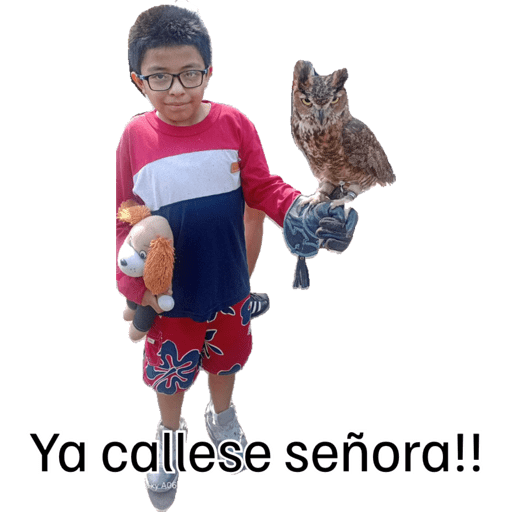 Mas 9
