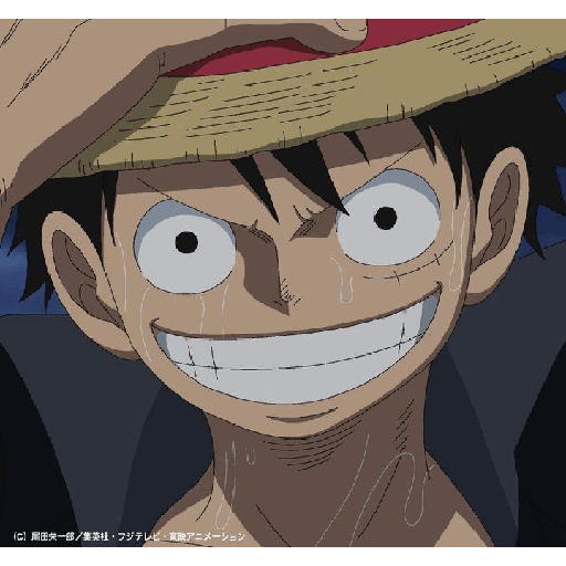 Monkey d Luffy 16