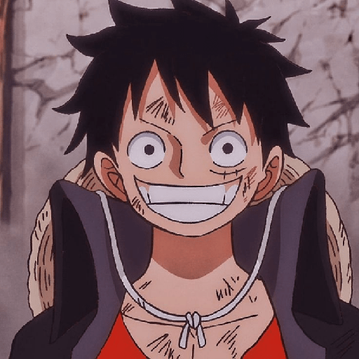 Monkey d Luffy 23