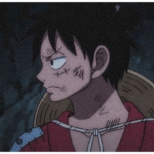 Monkey d Luffy 18