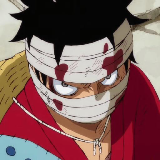 Monkey d Luffy 30