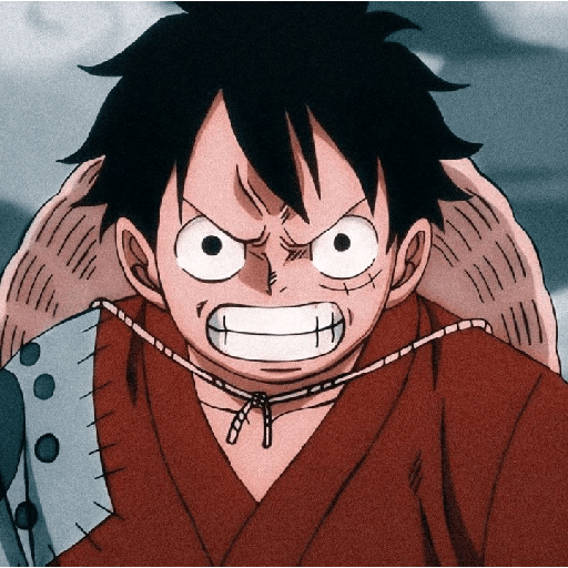 Monkey d Luffy 29