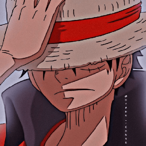 Monkey d Luffy 28