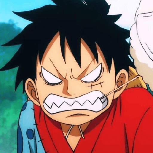 Monkey d Luffy 24
