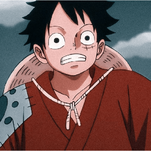 Monkey d Luffy 17