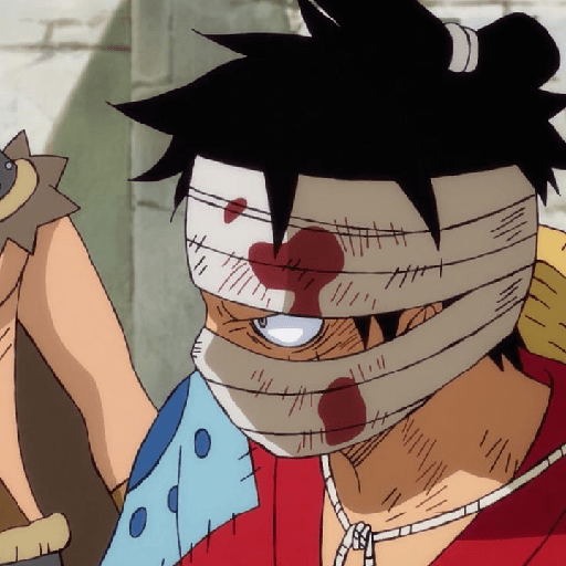 Monkey d Luffy 27