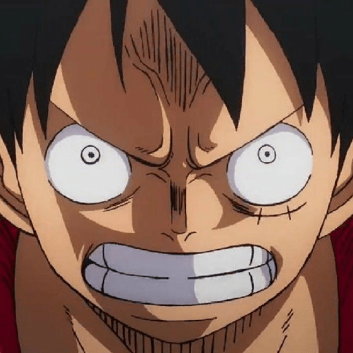 Monkey d Luffy 19