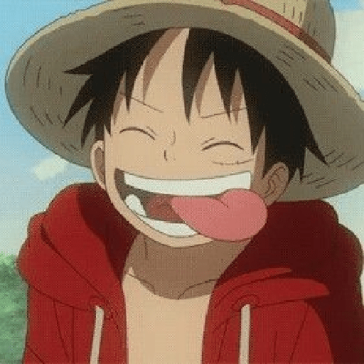 Monkey d Luffy 10