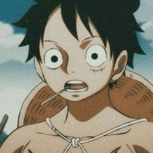Monkey d Luffy 13