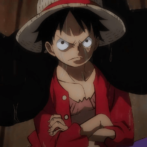 Monkey d Luffy 14
