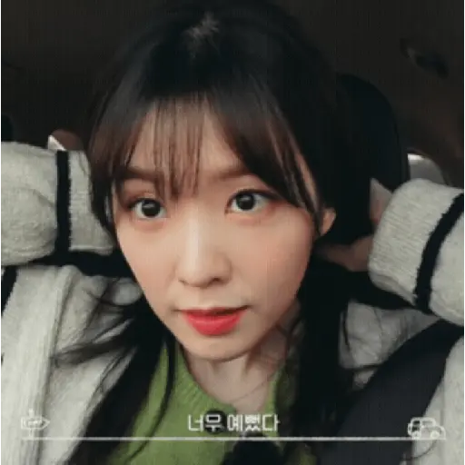 Bae Joohyun I 29