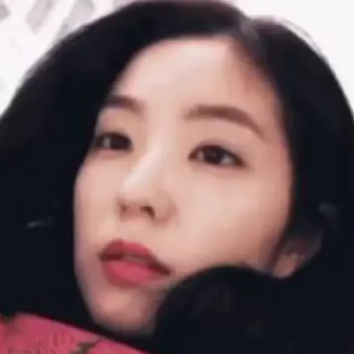 Bae Joohyun I 26