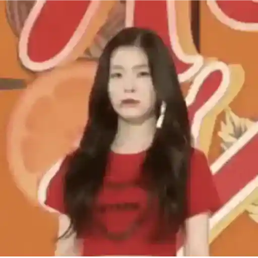 Bae Joohyun I 13