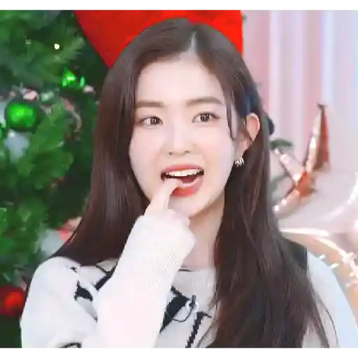 Bae Joohyun I 17