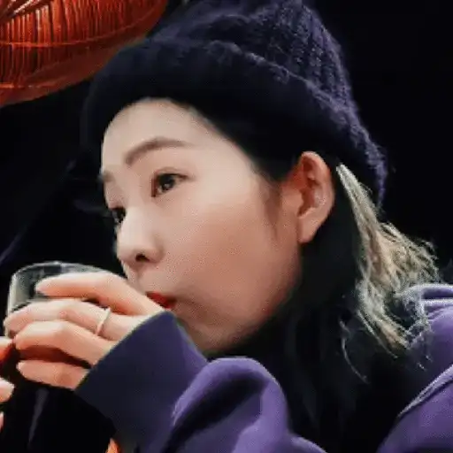 Bae Joohyun I 20
