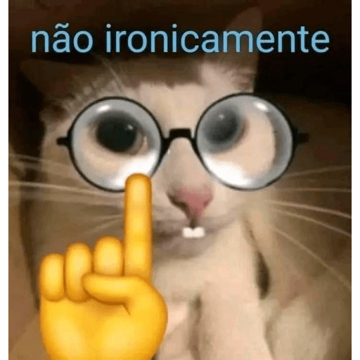 Yes 11