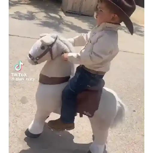 SaiiMH 19