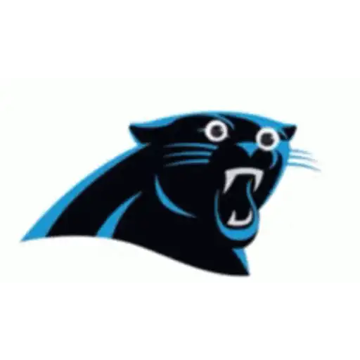 Nfl2 1
