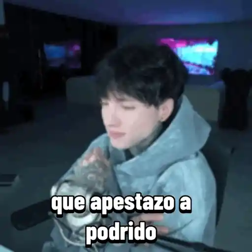 Stream Febrero 02 2026 7