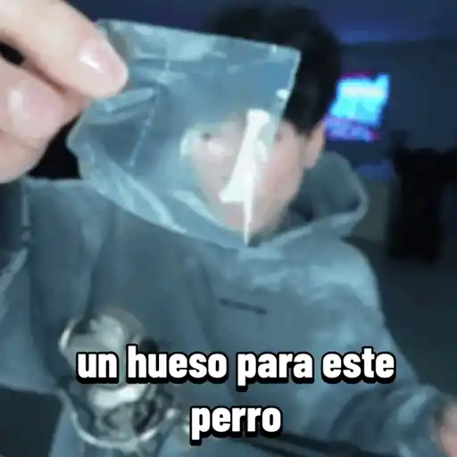Stream Febrero 02 2026 4
