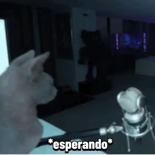 Stream Febrero 13 2026 6
