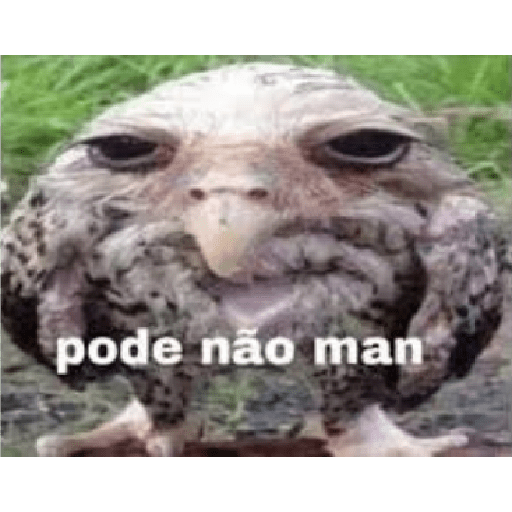 CALDO DE XANAAAAAWNWNWNW 4