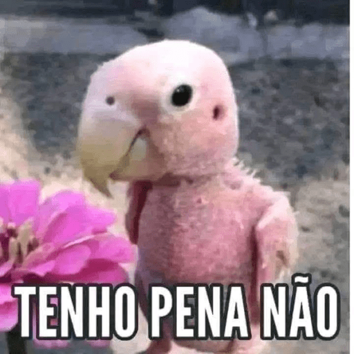 CALDO DE XANAAAAAWNWNWNW 20