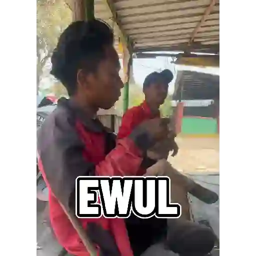 Sticker Image