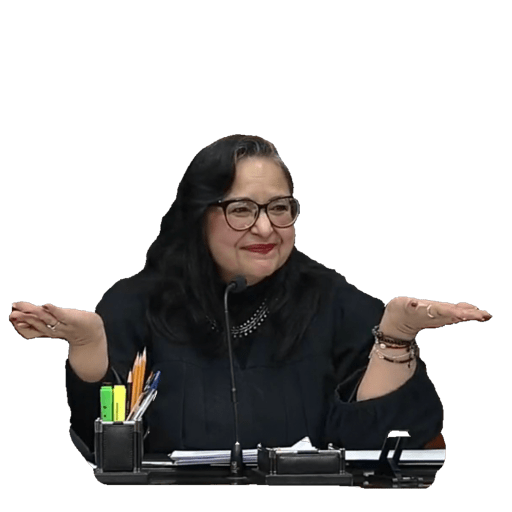 Ministra Piña