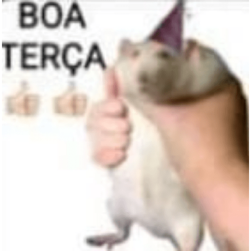 Memes Aleatórios 19