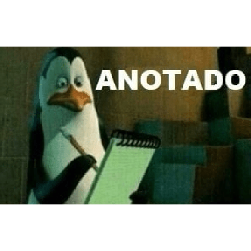 Memes Aleatórios 28