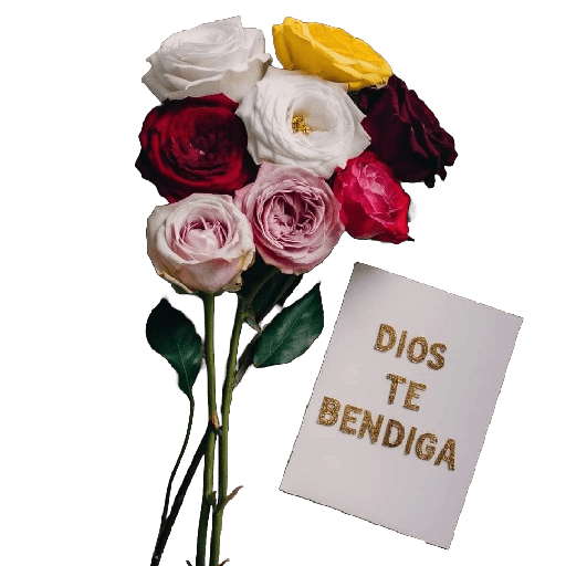 Bendiciones✝️ 23