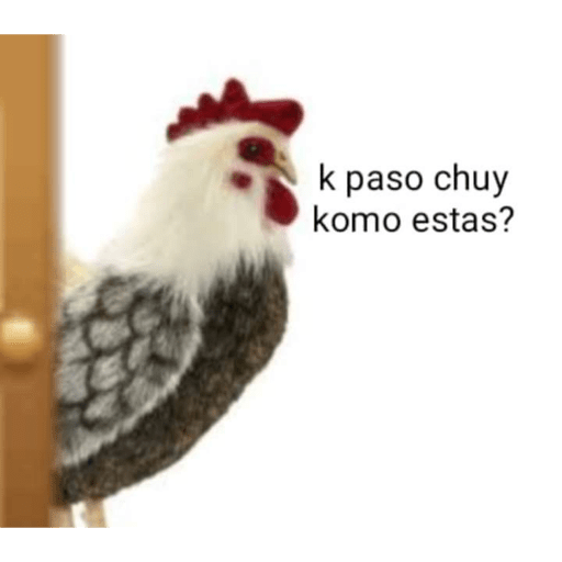 Jejeje 28