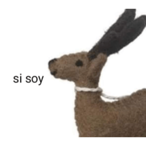 Jejeje 15