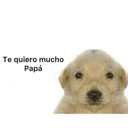 Jejeje 13