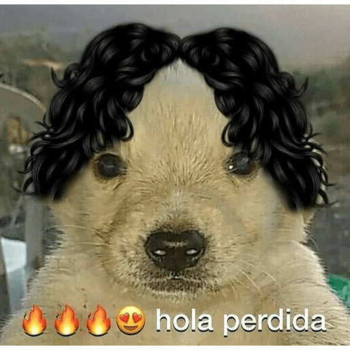 Jejeje 20