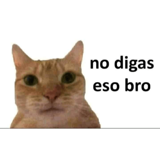 Jejeje 25