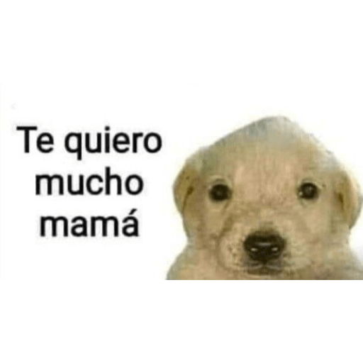 Jejeje 14