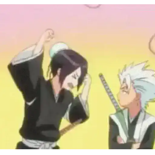 Bleach (Anime) 15