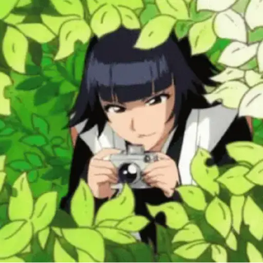 Bleach (Anime) 29