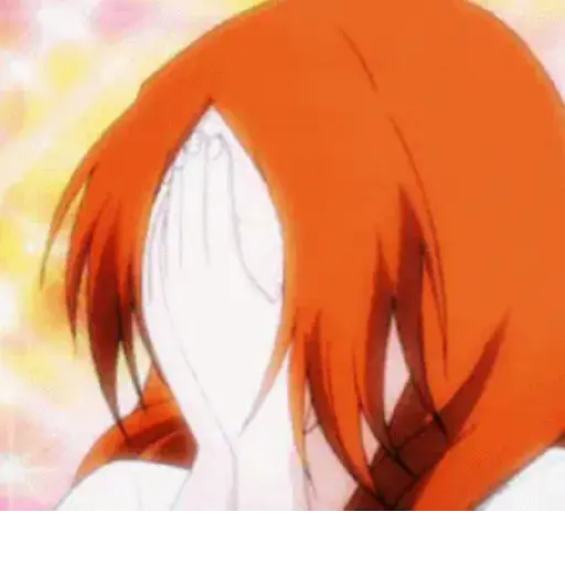 Bleach (Anime) 30